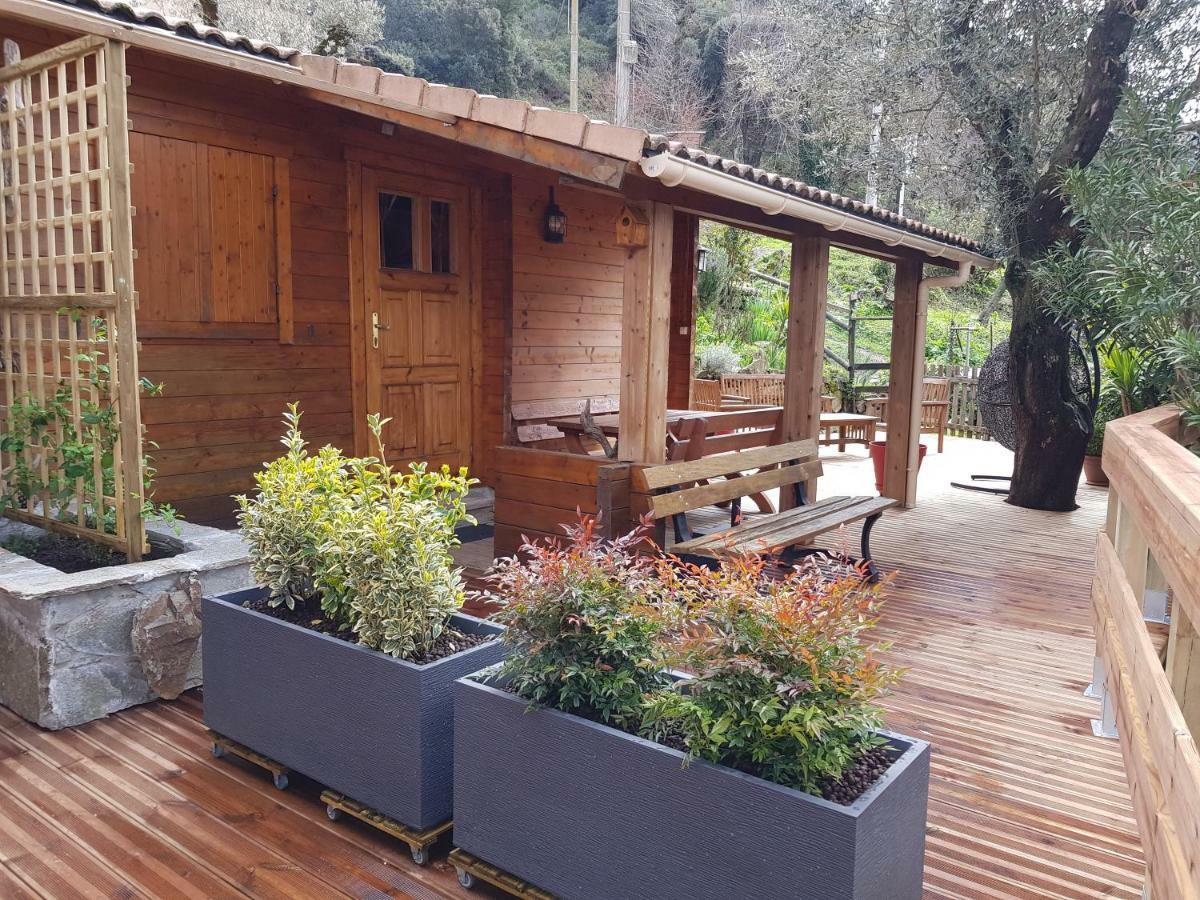 Le Chalet De Valentine & Laurent Olmiccia 外观 照片