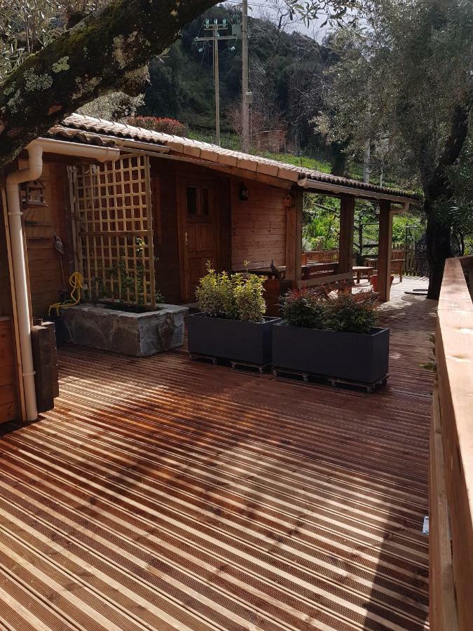 Le Chalet De Valentine & Laurent Olmiccia 外观 照片