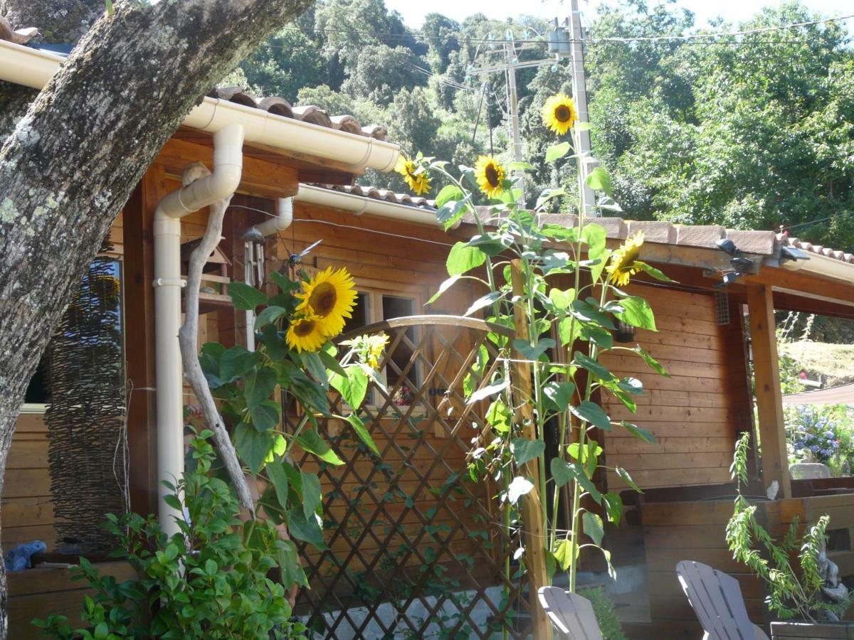 Le Chalet De Valentine & Laurent Olmiccia 外观 照片